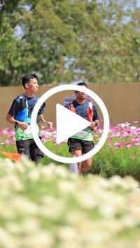 BIB:  <button type="button" onclick="openModal(27586350)" class="btn btn-primary btn-sm float-right" data-toggle="modal" data-target=".modal-high-quality">
                <i class="fa fa-download"></i> Download
                </button>